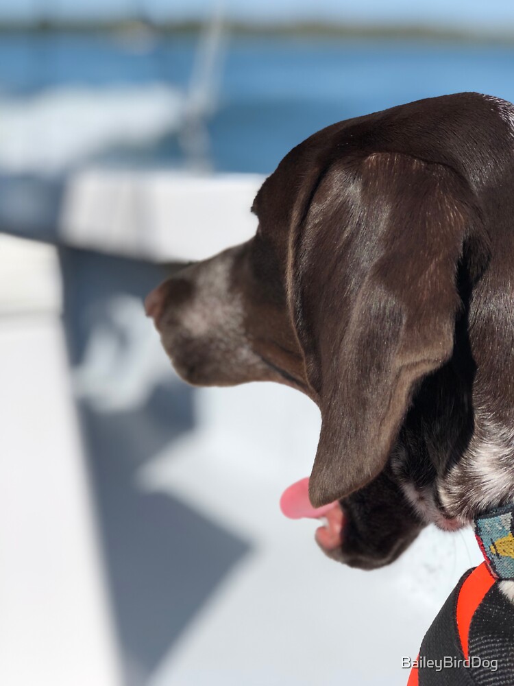 Yawning Puppy Looks Surprised by BaileyBirdDog