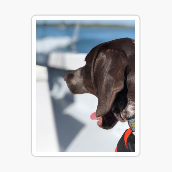 Yawning Puppy Looks Surprised Sticker
