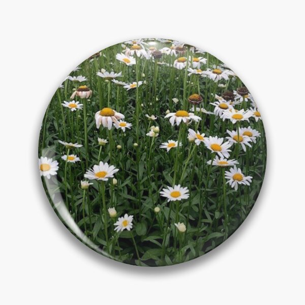 Item preview, Daisy Field Photography designed and sold by k8tiekate.