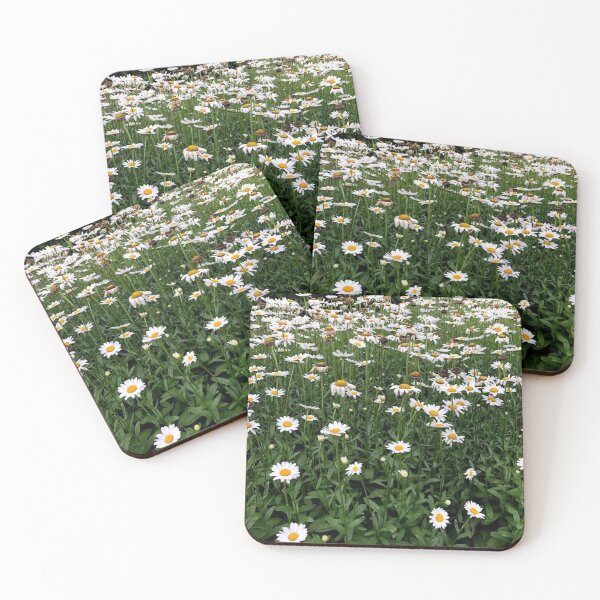Item preview, Daisy Field Photography designed and sold by k8tiekate.