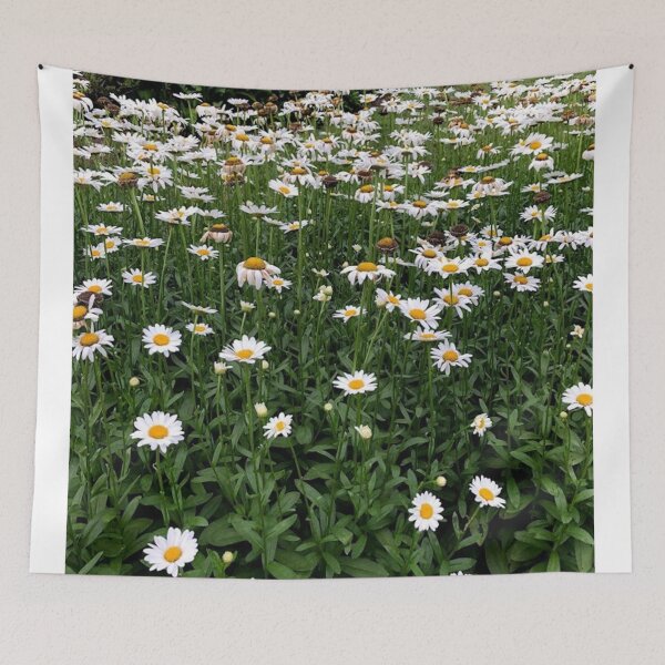Item preview, Daisy Field Photography designed and sold by k8tiekate.