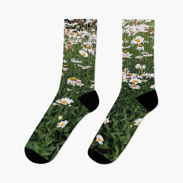 Item preview, Daisy Field Photography designed and sold by k8tiekate.