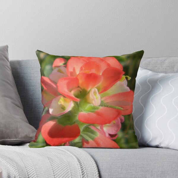 Item preview, Roadside Indian Paintbrush designed and sold by Navigator.