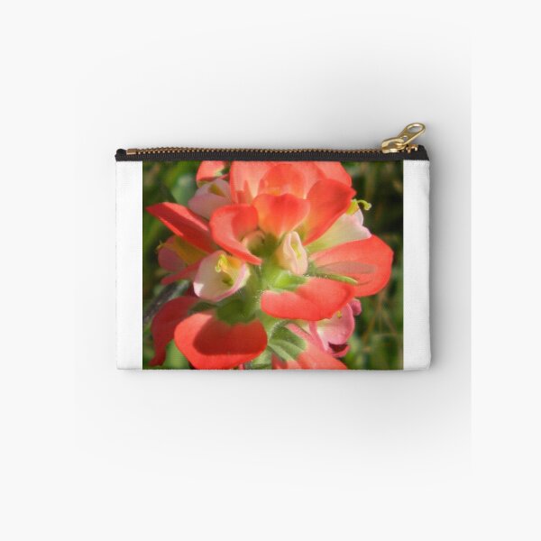Item preview, Roadside Indian Paintbrush designed and sold by Navigator.