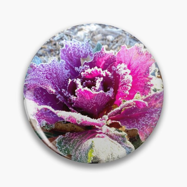 Item preview, Frosted Rose Photography designed and sold by k8tiekate.
