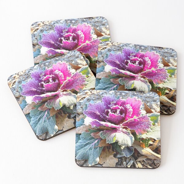 Item preview, Frosted Rose Photography designed and sold by k8tiekate.