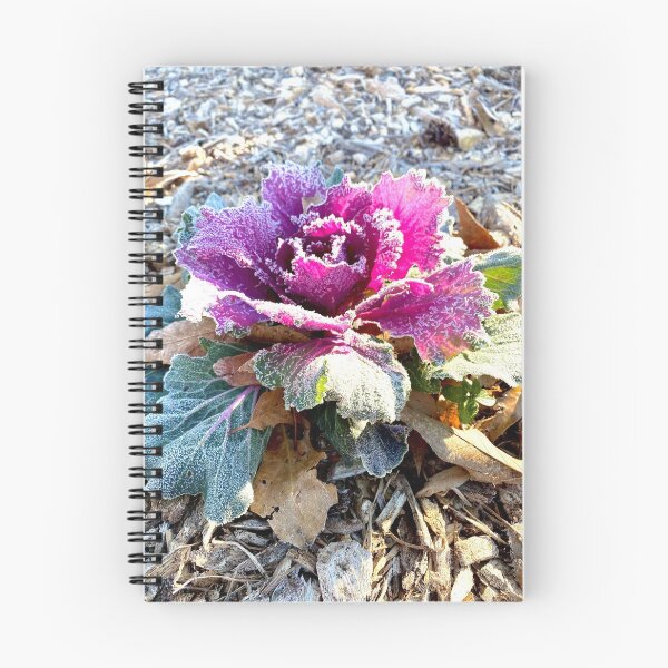 Item preview, Frosted Rose Photography designed and sold by k8tiekate.