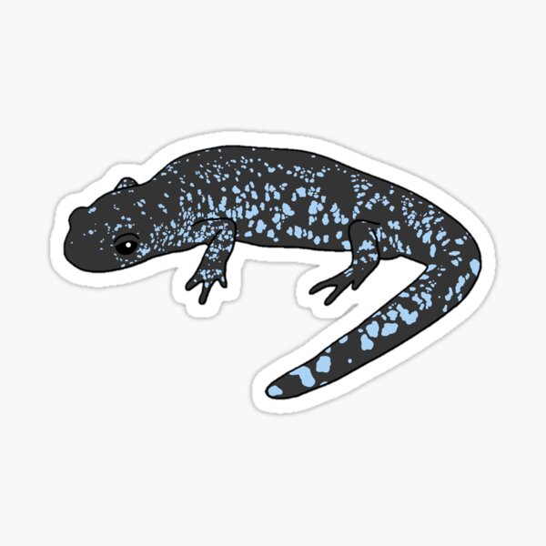 Item preview, Blue Spotted Salamander designed and sold by taylorrowan.