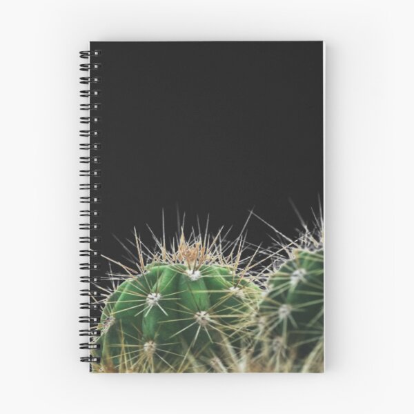 Item preview, Minimalist Cacti Series, Two of Three designed and sold by HugJen.