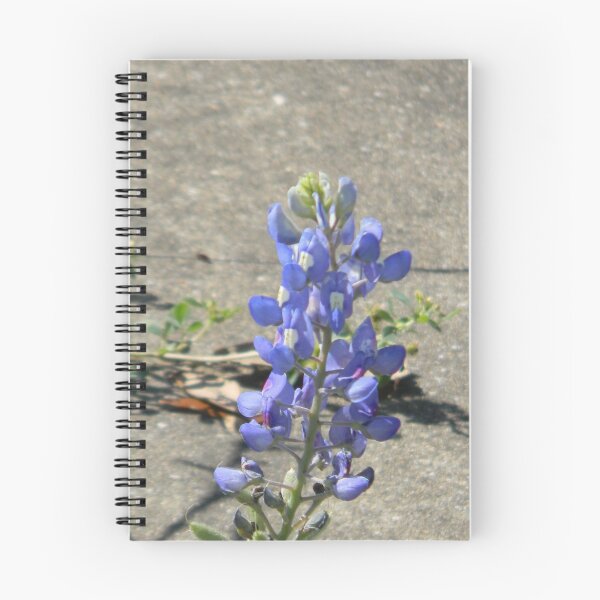 Item preview, Sidewalk Bluebonnet designed and sold by Navigator.