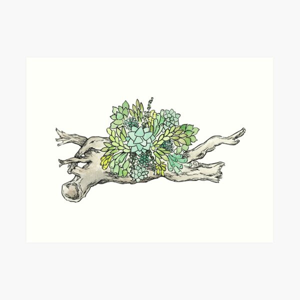 Succulent Driftwood 1 Art Print