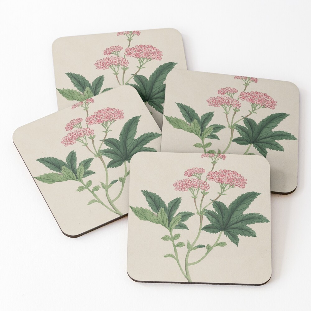 Item preview, Coasters (Set of 4) designed and sold by Tifaprint.