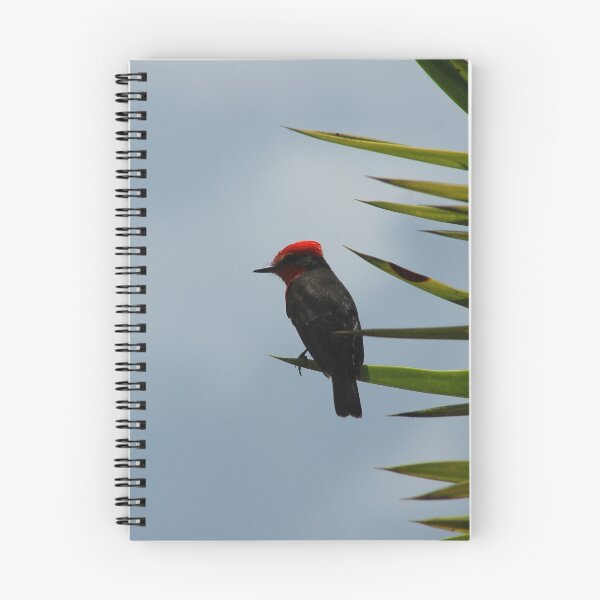 Artikelvorschau, Vermilion Flycatcher entworfen und verkauft von rhamm.