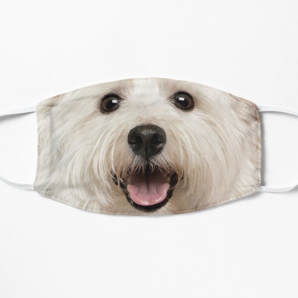 Maltesische Gesichtsmaske Flache Maske