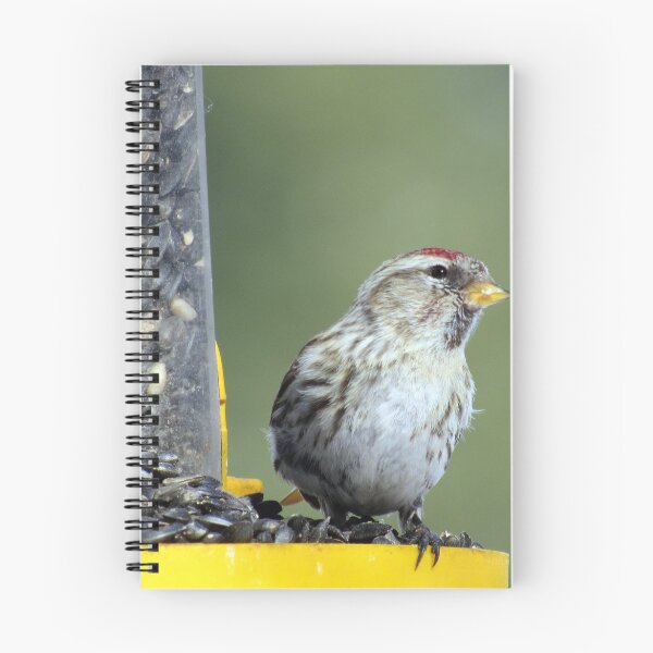 Item preview, Common Redpoll designed and sold by Rochelle Smith.