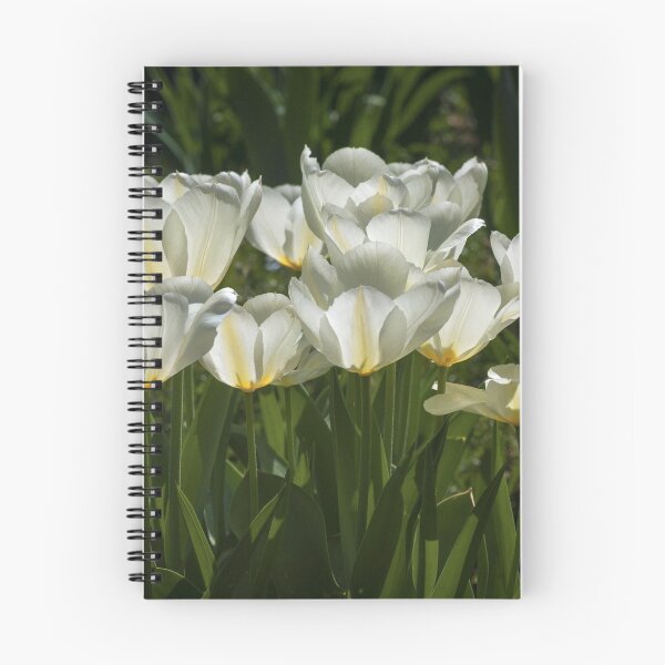 Item preview, Aglow designed and sold by PhotosByHealy.