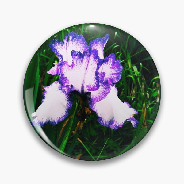 Item preview, Tender white and violet iris, natural background  designed and sold by helenkaiy.