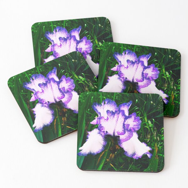 Item preview, Tender white and violet iris, natural background  designed and sold by helenkaiy.