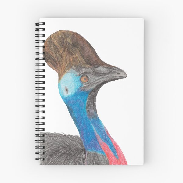 Item preview, Cassowary - Australian Bird - Pencil Drawing - Kathleen Stuart Art designed and sold by Art by Kathleen Stuart.