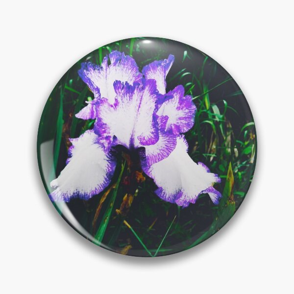 Item preview, Tender white and violet iris, natural background  designed and sold by helenkaiy.