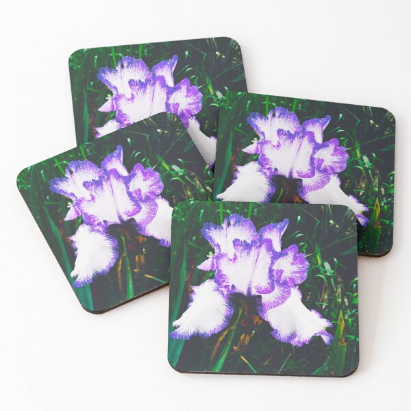 Item preview, Tender white and violet iris, natural background  designed and sold by helenkaiy.