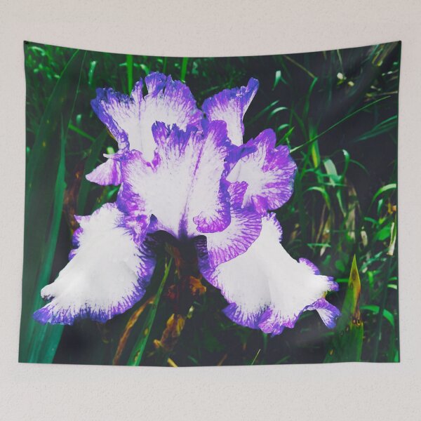 Item preview, Tender white and violet iris, natural background  designed and sold by helenkaiy.