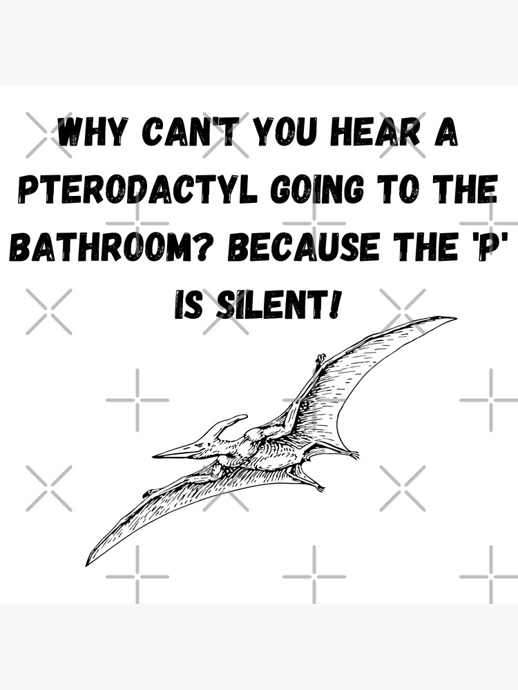 Why Can't You Hear a Pterodactyl in the Bathroom?