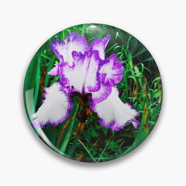 Item preview, Tender white and violet iris, natural background  designed and sold by helenkaiy.