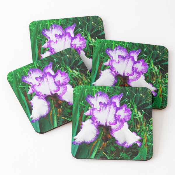 Item preview, Tender white and violet iris, natural background  designed and sold by helenkaiy.