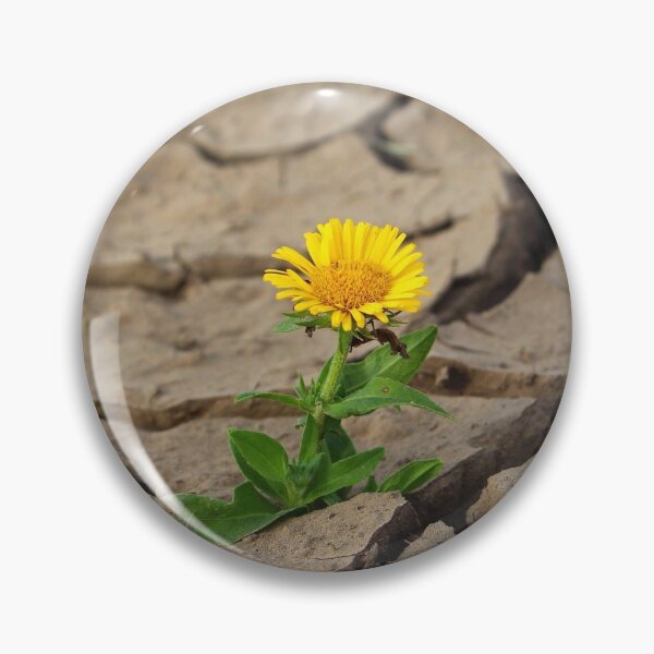 Item preview, Flower in the desert designed and sold by redeemer77.
