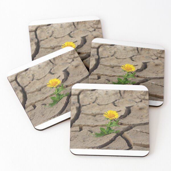 Item preview, Flower in the desert designed and sold by redeemer77.