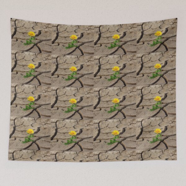 Item preview, Flower in the desert designed and sold by redeemer77.