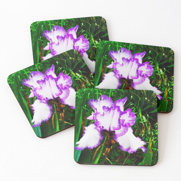 Item preview, Tender white and violet iris, natural background  designed and sold by helenkaiy.