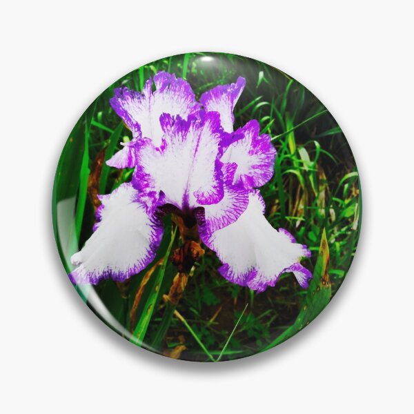 Item preview, Tender white and violet iris, natural background  designed and sold by helenkaiy.