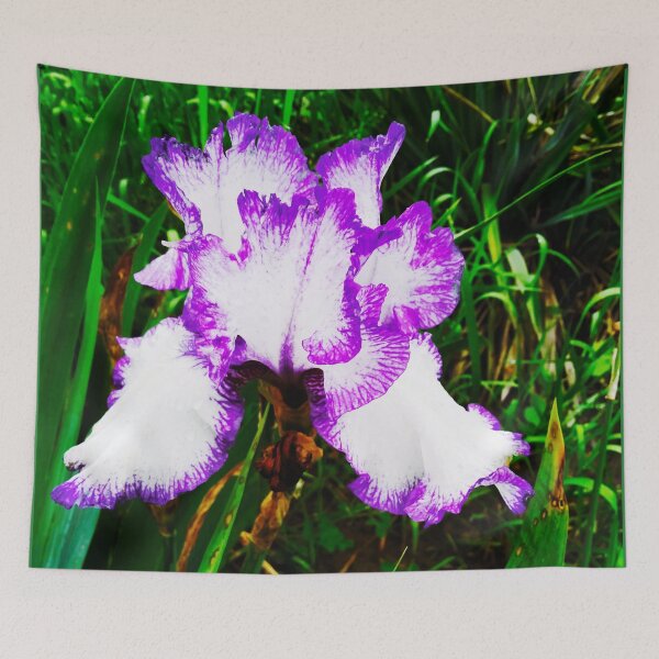 Item preview, Tender white and violet iris, natural background  designed and sold by helenkaiy.