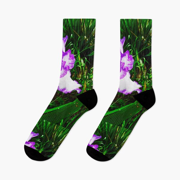 Item preview, Tender white and violet iris, natural background  designed and sold by helenkaiy.
