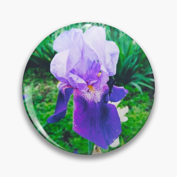Item preview, Violet iris in blossom, natural perfection  designed and sold by helenkaiy.