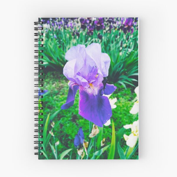 Item preview, Violet iris in blossom, natural perfection  designed and sold by helenkaiy.