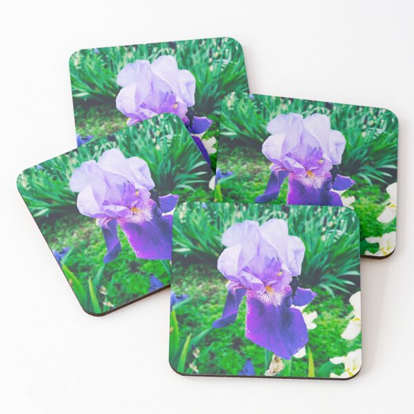 Item preview, Violet iris in blossom, natural perfection  designed and sold by helenkaiy.