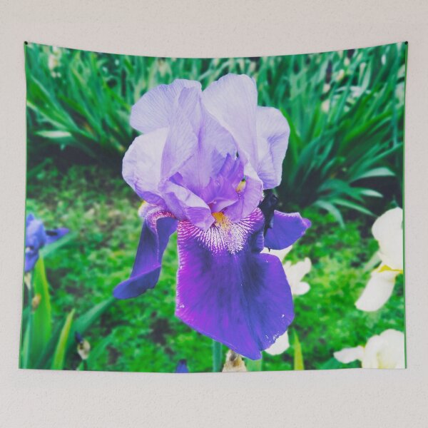 Item preview, Violet iris in blossom, natural perfection  designed and sold by helenkaiy.