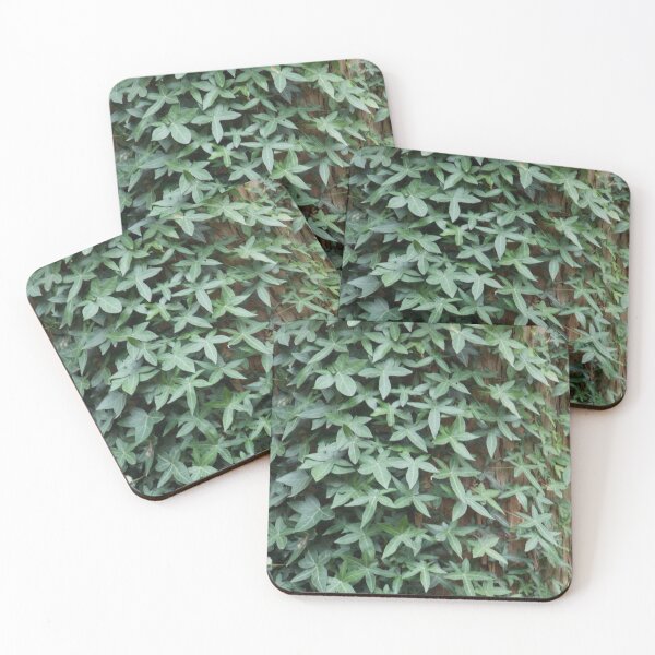Item preview, Ivy on a tree trunk  designed and sold by Naomi80.