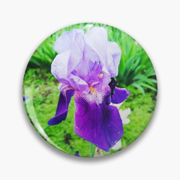 Item preview, Violet iris in blossom, natural perfection  designed and sold by helenkaiy.