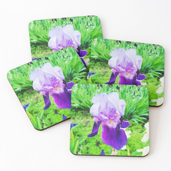 Item preview, Violet iris in blossom, natural perfection  designed and sold by helenkaiy.