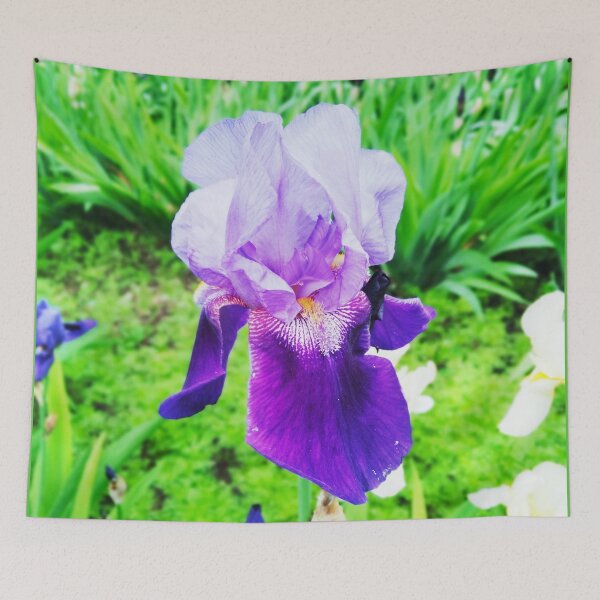 Item preview, Violet iris in blossom, natural perfection  designed and sold by helenkaiy.