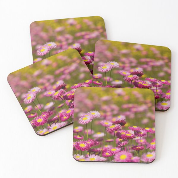 Item preview, Paper Daisies in flower designed and sold by Glenn-Smith.
