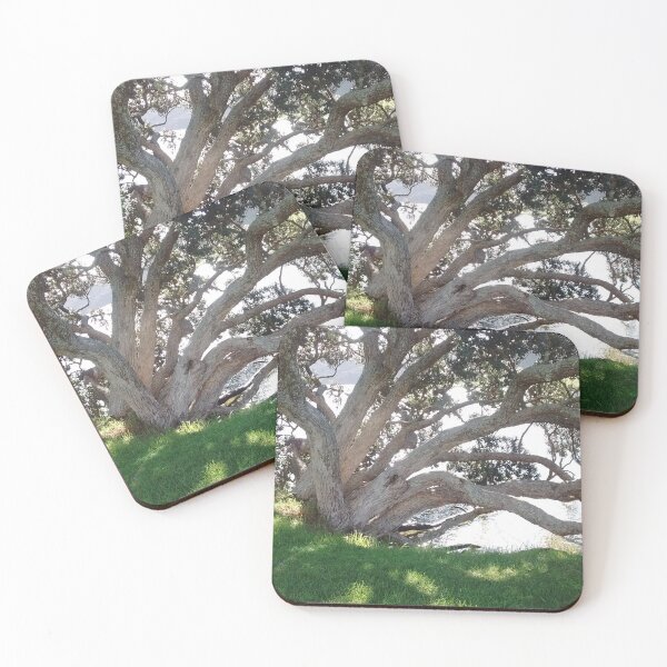 Item preview, Ancient tree designed and sold by idjy.