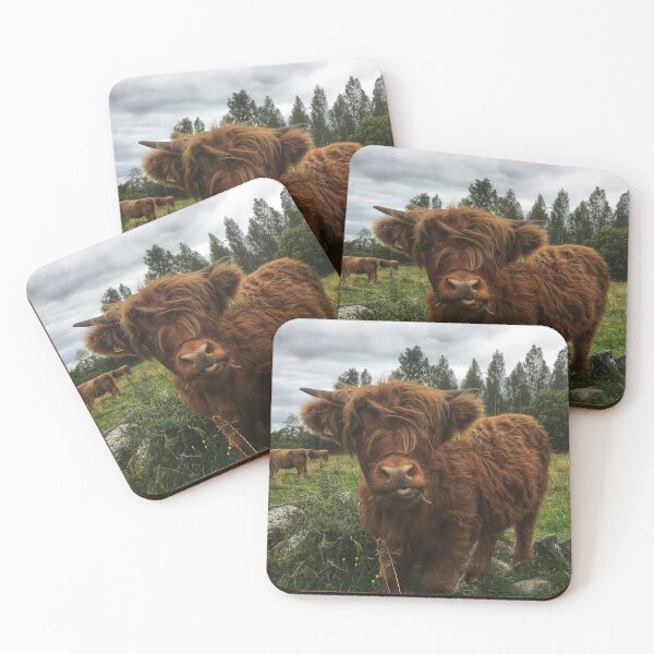 Item preview, Scottish Highland Cattle Calf 2058 designed and sold by SaarelaHighland.