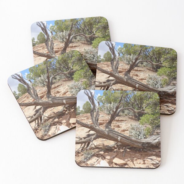 Item preview,   Juniper tree deceased designed and sold by CreArtation.