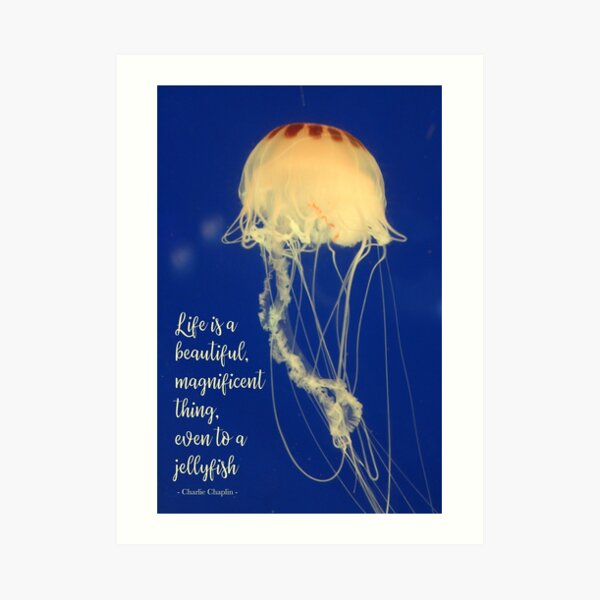 Life is a beautiful, magnificent thing. Art Print