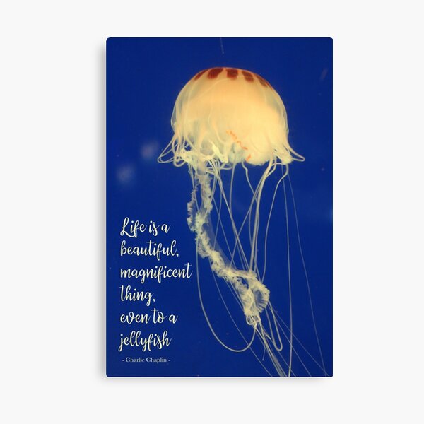 Life is a beautiful, magnificent thing. Canvas Print